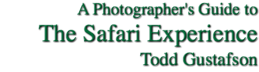 A Photographer's Guide to The Safari Experience Todd Gustafson